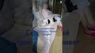 Совместный просмотр #собака #приветандрей #милота #бабушка