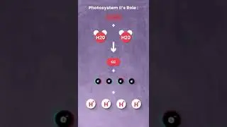 Photosystem II Powers All Life On Earth #shorts