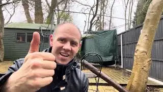 How do you deal with a fallen tree due to storm damage?