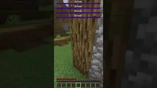 Майнкрафт, но рядом со мной СПАВНЯТСЯ ВИЗЕРЫ (@Amebka435 ) #minecraft #майнкрафт #minecraftsurvival