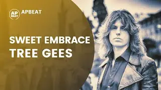 SWEET EMBRACE (The Tree Gees) - A Bee Gees style song (special guest Gianmarco Saurino)