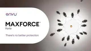 Maxforce® Forte