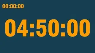 4 hour 50 minute timer (with end alarm, time elapsed and progress bar)