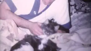 Avellan Home Video - DVD 02 - Video 04