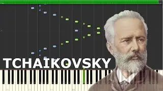 TCHAIKOVSKY // Piano Concerto No. 1 (2/3). // Op. 23