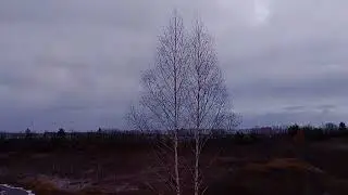 Засентябрило
