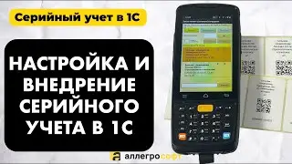 Серии в 1С и использование ТСД для автоматизации склада