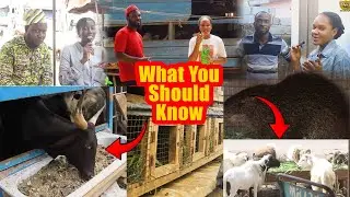 How to make money on a small farm and what you should know as a beginner farmer in one full video...