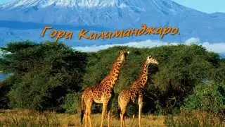 Танзания . Остров Занзибар .  Белый песок, бирюзовая вода .Tanzania . The island of Zanzibar.