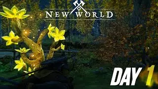 New World Preview: Day 1 - THIS GAME IS ACTUALLY SO GOOD!