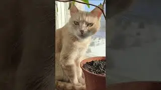 красиво сфоткай меня
