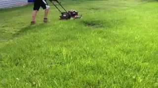Mowing with my Toro Recycler 22 inch personal pace lawn mower