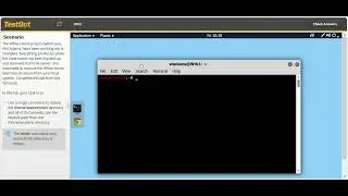 Linux - Delete Files and Directories