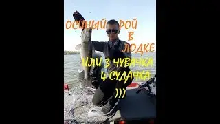 Осиный рой в лодке, 3 чувачка 4 судачка