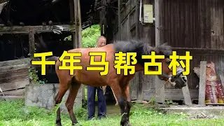 实拍千年马帮古村，曾是湖南4A景区，如今马帮消失游客稀少！