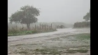 CHUVINHA BOA AQUI NO NORDESTE GRAÇAS A DEUS**