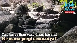 Mencari ikan tilan buluh