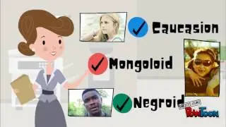 How many major races are there in the world?