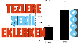 Tez ve Makale yazımlarımda yüksek çözünürlüklü şekillerin kullanılması