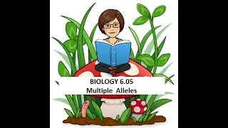 BIO 6.05 Multiple Alleles