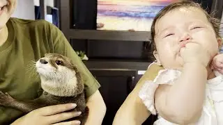 [Original Video] Otters and a Baby Glamping for the First Time!