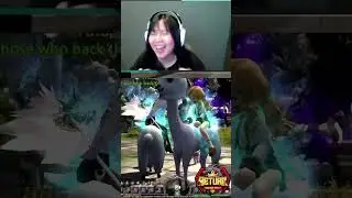 ALPACA BOTAK DI DRAGON NEST RETURN