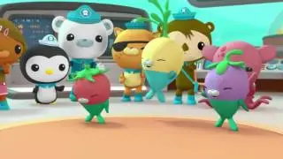 Octonauts: Creature Report Compilation - Series 3