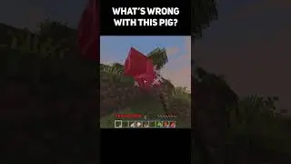 what's wrong with this pig?