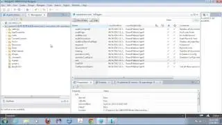 XPageTips - Using Revert and Changing Repo NSF Files in Domino Designer 9
