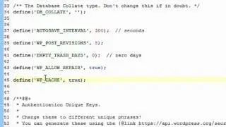 WP201-14 Optimize Wordpress-Wordpress caching
