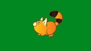 Green Screen Squirrel Animation Frame by Frame | Animation Green Screen | Free Animals  Green Screen
