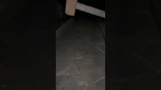Артем разбил наушники