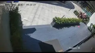 Crocodile Jumping