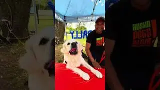 Ready Set Rally 24 Final Reel  #shorts  #short