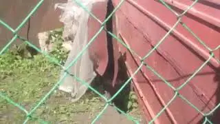 10 мая
