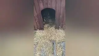 Всех не спасёшь - говорят многие и проходят мимо...