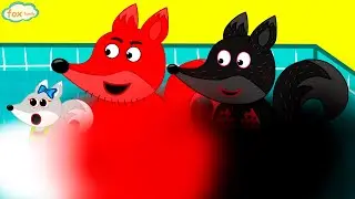 Fox Family Spanish swim in the colorful pool | animated cartoons for kids 