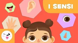 I cinque sensi per bambini 👃🏻👂🏻👅👀 Educazione della prima infanzia