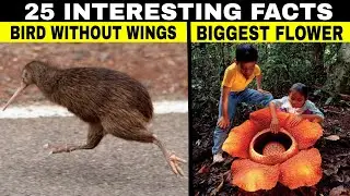 25 Interesting facts you don't know! | Part 1