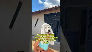 Desse jeito aí 😂 