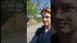 Посадка картофеля