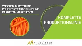 Waschen, Bürsten und Polieren Verarbeitungslinie Karotten - Marcelissen