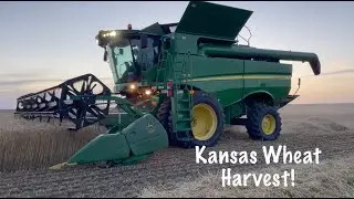 Kansas Wheat Harvest | Dad gets Stuck