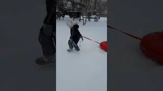 Прогулка!