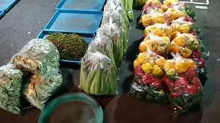 LAMPANG