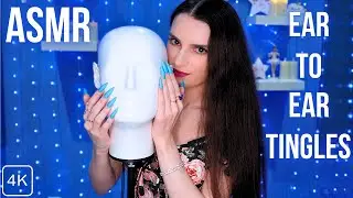 ASMR Deep Inner Ear Tingles👂with the Binaural Head Mic for Sleep 😴 Massage , Scratching ,Tapping etc