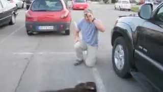 Приветствующая весёлая собака