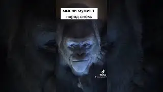 Озвучка обезьяны /горилла / мысли обезьяны #юмор
