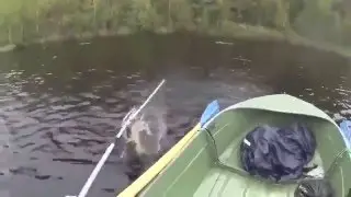 Кто говорил, что рыбалка   это просто