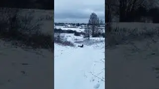 20 декабря 2021 г.